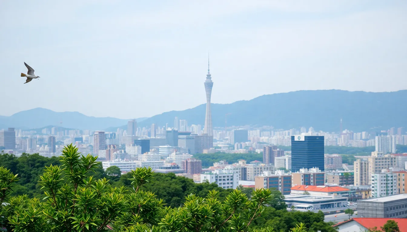 이미지